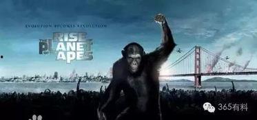 猩猩王电影在线观看,重返原始森林的惊险之旅